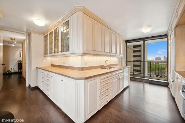 kitchen with sink, dark wood-type flooring, floor to ceiling windows, and tasteful backsplash