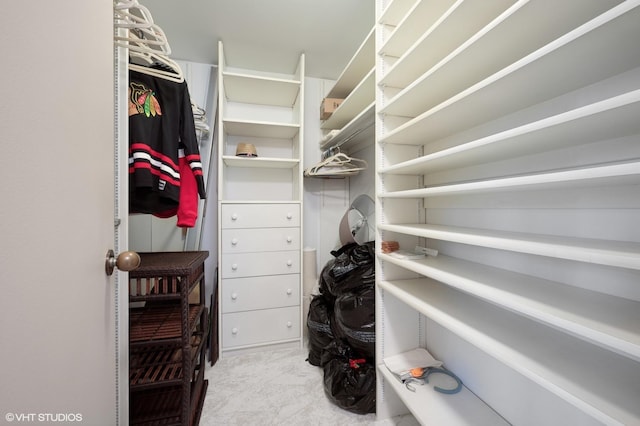 walk in closet with light carpet