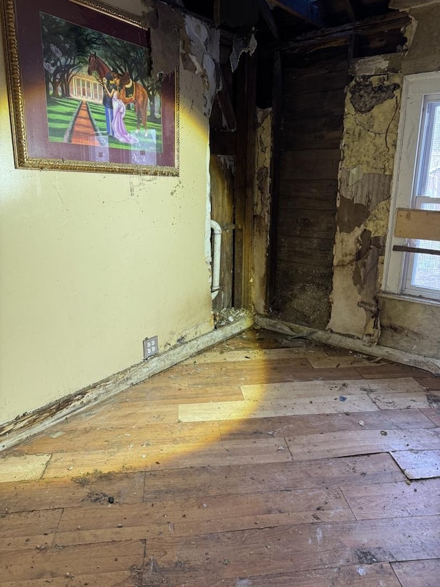 basement with hardwood / wood-style floors