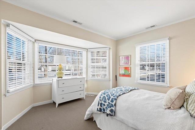 bedroom featuring crown molding, multiple windows, and carpet