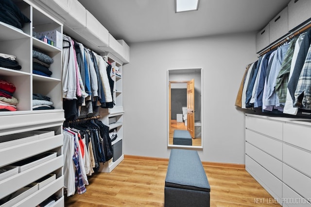 walk in closet with light wood-type flooring