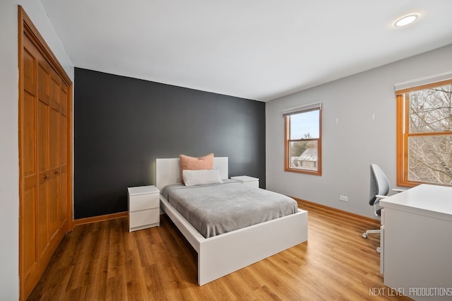 bedroom featuring wood-type flooring and a closet