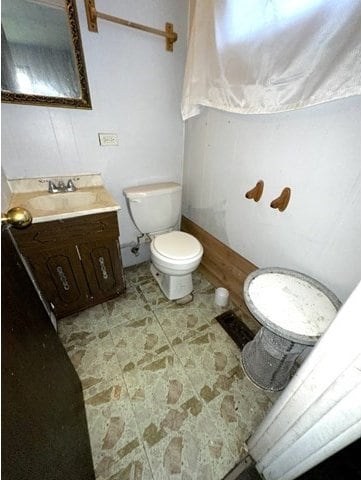 bathroom with toilet and vanity