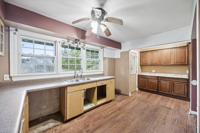 kitchen with sink, ceiling fan, and dark hardwood / wood-style flooring