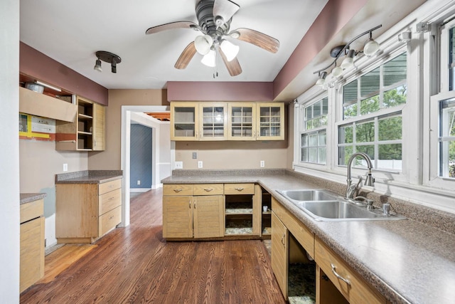 kitchen with sink, ceiling fan, dark hardwood / wood-style flooring, and light brown cabinets