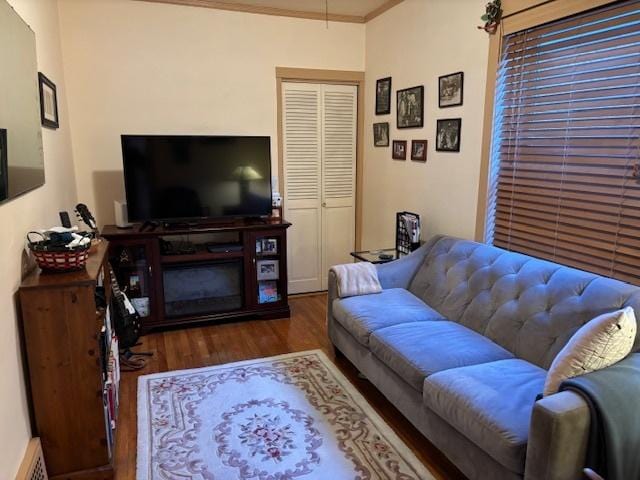 living room featuring ornamental molding and dark hardwood / wood-style floors