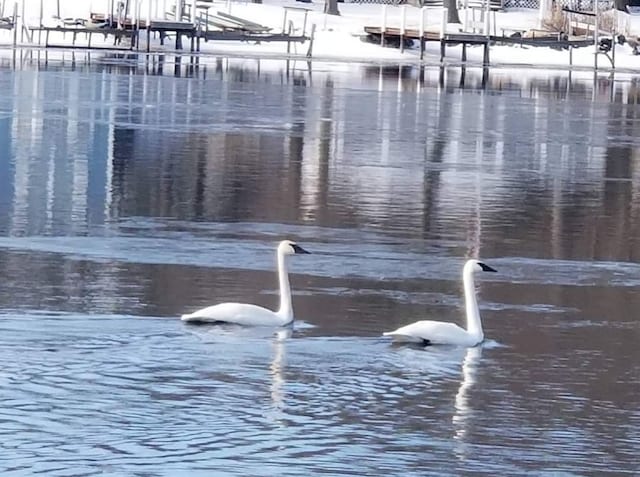 view of dock with a water view