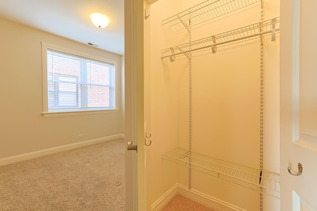 spacious closet featuring carpet floors