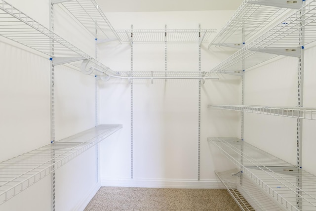 walk in closet featuring carpet flooring