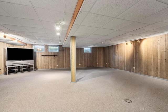 basement featuring carpet