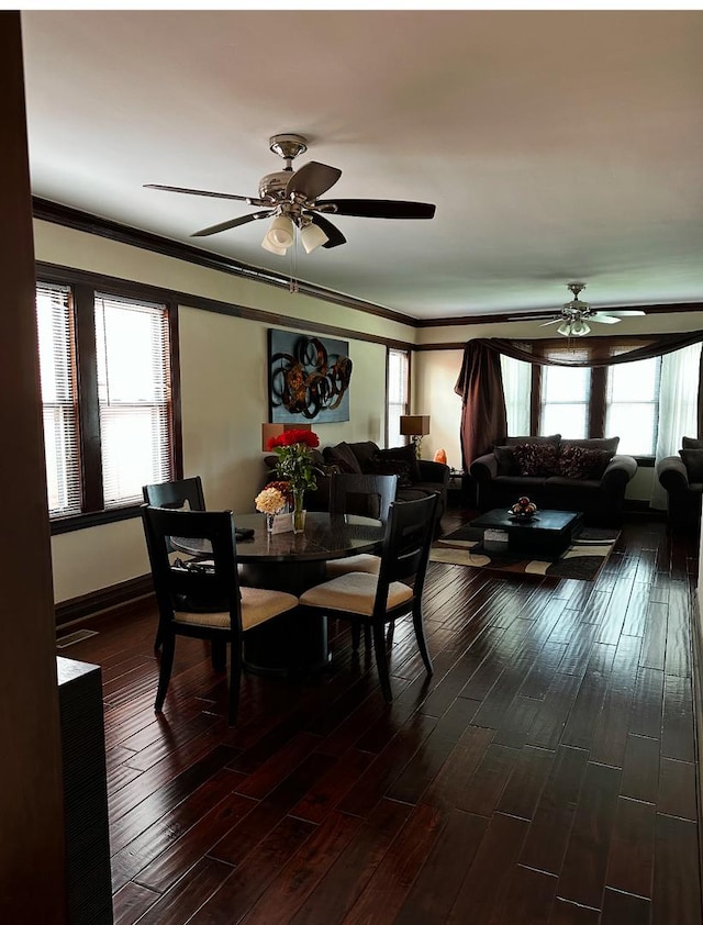 dining space featuring hardwood / wood-style flooring, ornamental molding, and ceiling fan