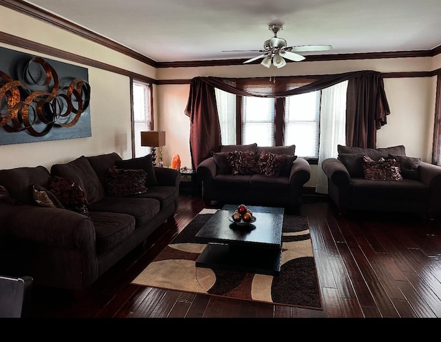 living room with dark hardwood / wood-style flooring, crown molding, a wealth of natural light, and ceiling fan