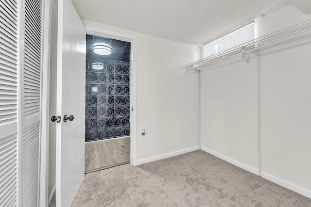 walk in closet with light colored carpet