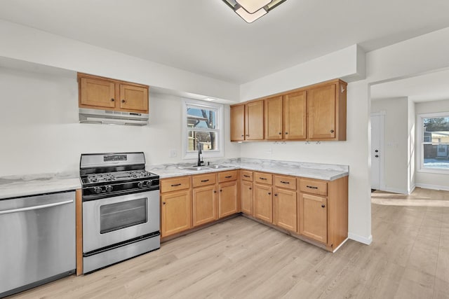 kitchen with appliances with stainless steel finishes, sink, a wealth of natural light, and light hardwood / wood-style floors