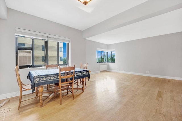 dining room with light hardwood / wood-style flooring