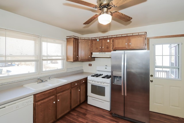 kitchen featuring sink, white appliances, dark wood-type flooring, and ceiling fan