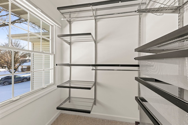 view of spacious closet