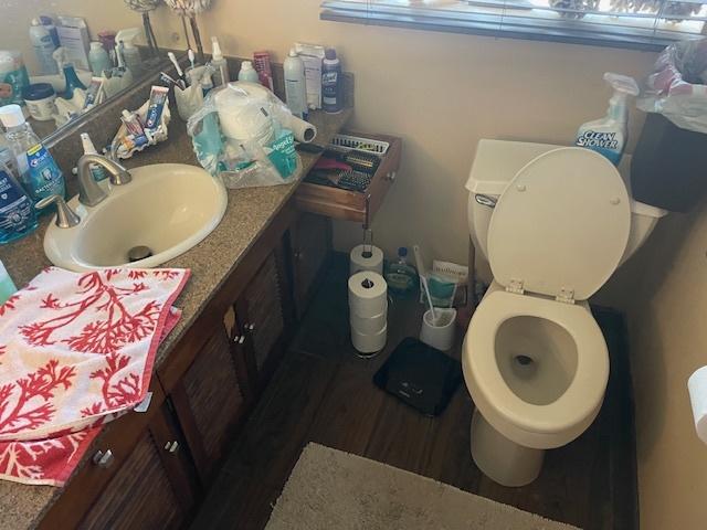 bathroom with vanity, toilet, and hardwood / wood-style floors