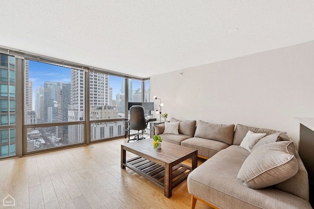 living room with floor to ceiling windows and light hardwood / wood-style floors