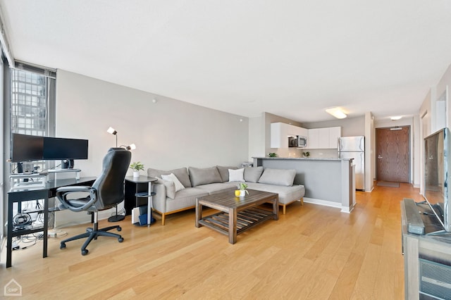 living room featuring light hardwood / wood-style floors