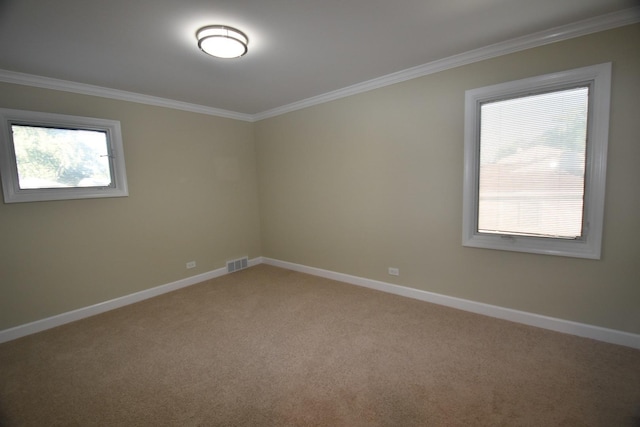 spare room featuring ornamental molding and carpet floors