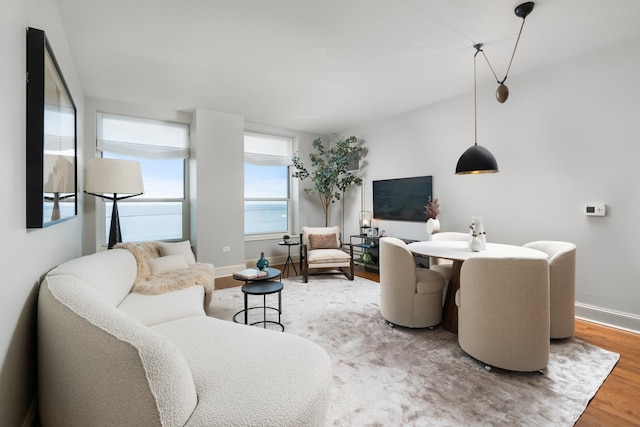 living area featuring wood finished floors and baseboards