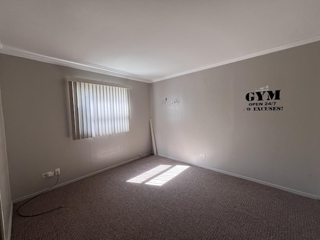 spare room featuring ornamental molding and carpet floors