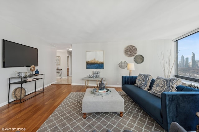 living room with hardwood / wood-style flooring and a wall of windows