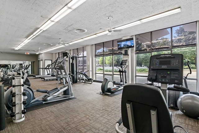 exercise room with a wall of windows and carpet flooring