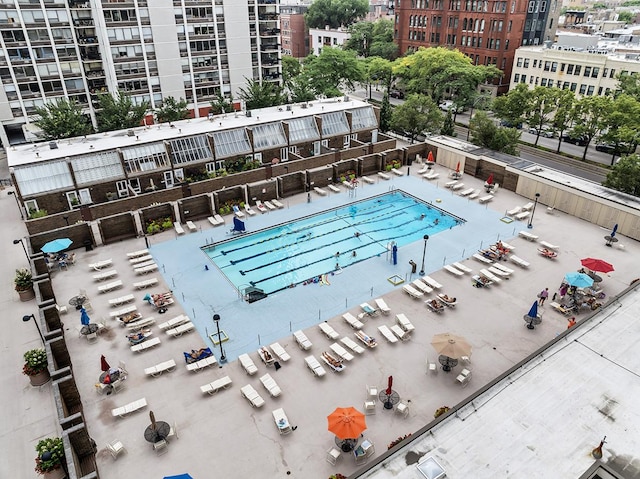 view of swimming pool featuring a patio