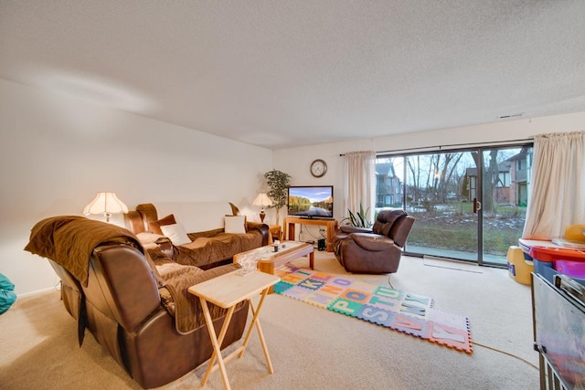 carpeted living room with a textured ceiling