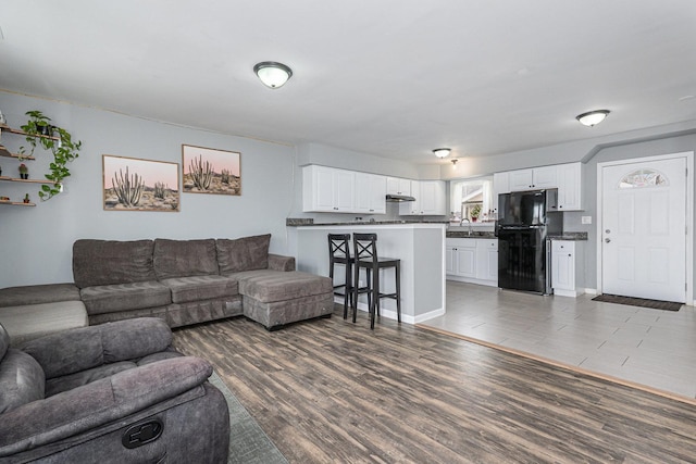 living room with dark hardwood / wood-style flooring and sink