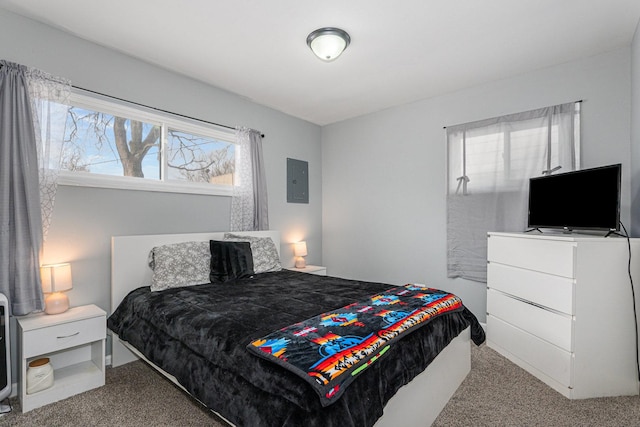 bedroom featuring electric panel and carpet floors