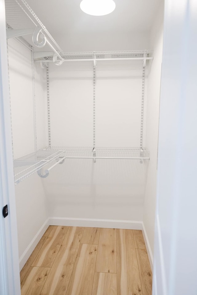 walk in closet with hardwood / wood-style floors