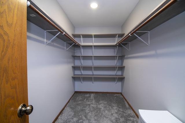 walk in closet featuring dark colored carpet