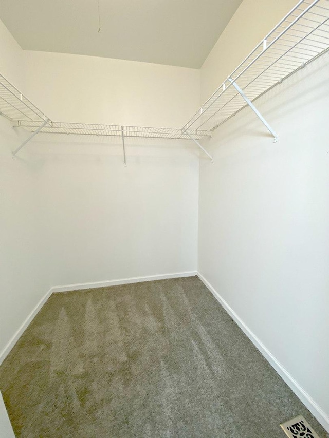 walk in closet with carpet