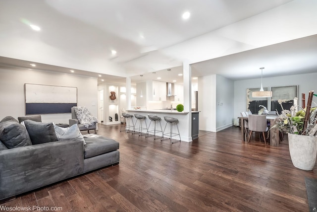 living room with dark hardwood / wood-style floors