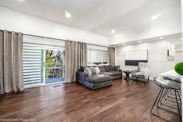 living room featuring dark hardwood / wood-style flooring