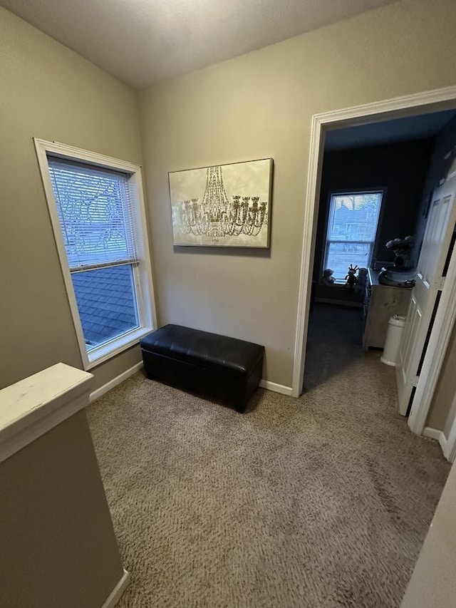 interior space with carpet and baseboards