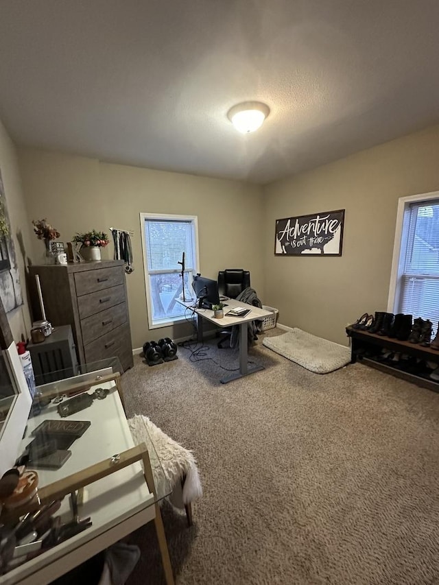 carpeted home office with a wealth of natural light