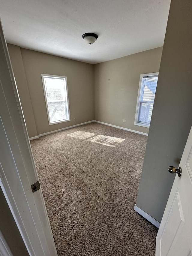 carpeted spare room with baseboards and a healthy amount of sunlight