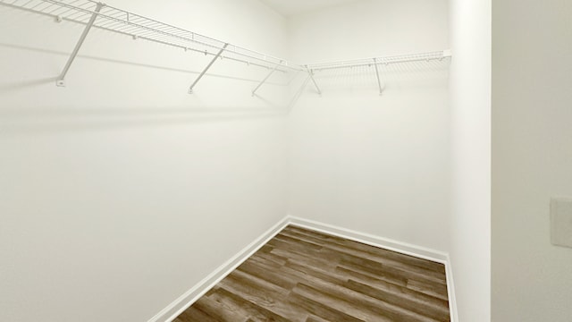 walk in closet with wood-type flooring