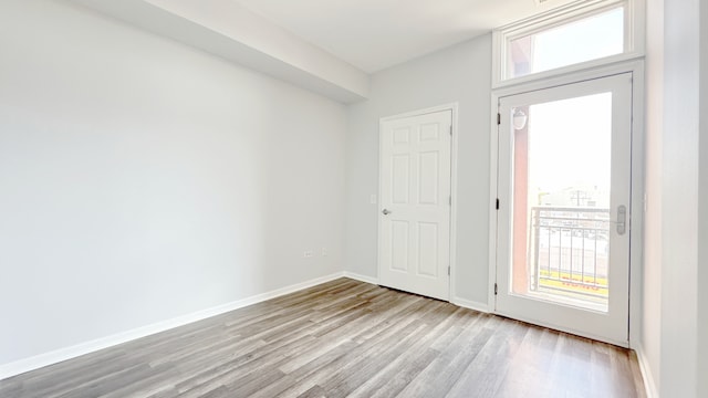 entrance foyer with light hardwood / wood-style flooring