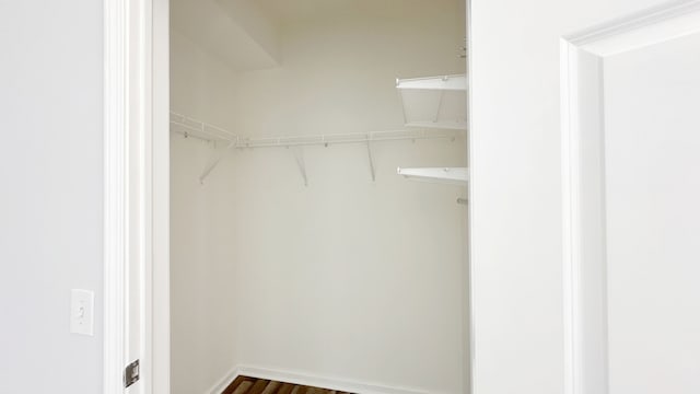 spacious closet featuring dark hardwood / wood-style flooring