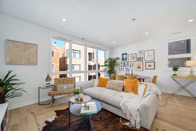 living room featuring light hardwood / wood-style flooring