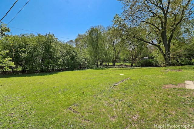 view of grassy yard