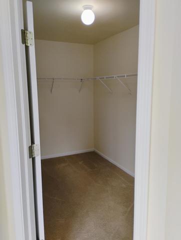 walk in closet featuring carpet floors