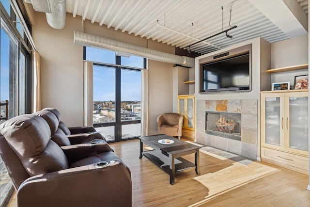 living room featuring a fireplace and light hardwood / wood-style floors