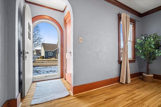 foyer entrance featuring light hardwood / wood-style flooring, ornamental molding, and a healthy amount of sunlight