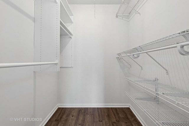 spacious closet featuring dark wood-type flooring